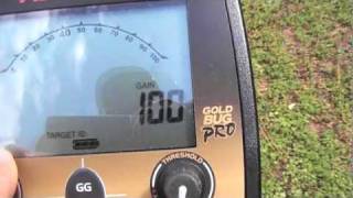 Metal Detecting Gold Bug Pro Quick Setup and Hunt [upl. by Ennaed300]