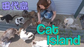 A Day on Japans CAT ISLAND TASHIROJIMA [upl. by Llyrehc]