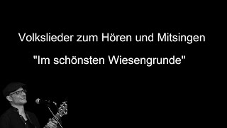 Im schönsten Wiesengrunde  Volkslieder mit Text zum Hören und Mitsingen [upl. by Sirad241]