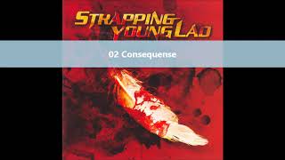 Strapping Young Lad  S Y L full album 2003 [upl. by Jacquetta]