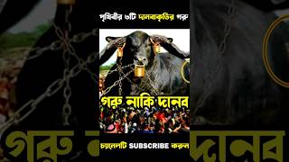 এটি গরু নাকি দানব 🙆‍♂️🙆‍♀️ Biggest Cow in the World 2024  shorts ytshorts [upl. by Ardnosak]