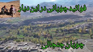 وضعیت زندگی و فعالیت کاری در این مناطق [upl. by Maudie]