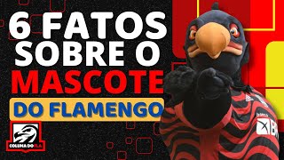 6 FATOS SOBRE O MASCOTE DO FLAMENGO [upl. by Aynik]