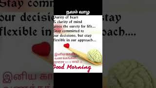 minivlog vlogs vlog tastyrecipes சமய shortvideos trending astrology அண்ணாமலை சமய short [upl. by Kimmel]