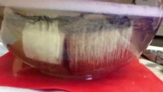 Stabilising wood using thermocure resin in a vacuum chamber [upl. by Nabila]