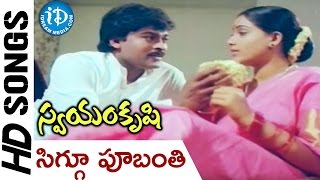 Swayamkrushi Songs  Siggu Poobanti Video Song  Chiranjeevi  Vijayashanti  K Viswanath [upl. by Marylynne]