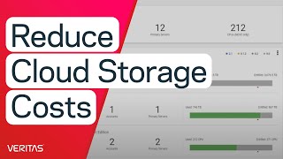 NetBackup Recovery Vault Reduce your cloud storage costs by up to 95 [upl. by Kirshbaum]