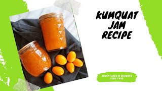 Easy Kumquat Jam Recipe [upl. by Nanyt]