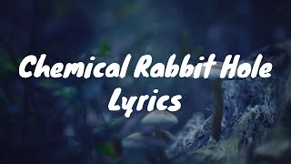 Chemical Rabbit Hole  Demi the Daredevil X kroh Lyrics [upl. by Treharne809]