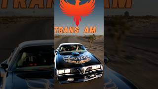 TRANS AM  THE IMMORTAL CAR automobile cars musclecar pontiac transam [upl. by Jeffries417]