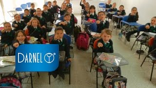 DARNEL  Los desechables sí son reciclables  quotSomos Útilesquot [upl. by Cope]