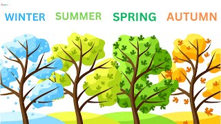 The Seasons song  Names of Seasons  Lets Learn about Seasons  Learn Seasons for Kids [upl. by Suruat]