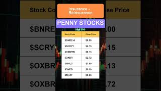 Insurance  Reinsurance Penny Stocks [upl. by Hammel836]