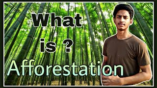 Afforestation in Hindi  What is Afforestation [upl. by Aihsotan]