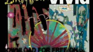 living colour  Funny Vibe  Vivid [upl. by Shantee]