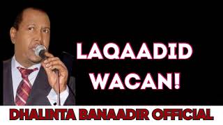 TIJAABI CODKAAGA XASAN AADAN SAMATAR QORAXDOO AROORTII LYRICS [upl. by Engamrahc667]