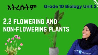 Grade 10 Biology Unit 2 22 Flowering and nonflowering plants  Saquama  ሳቋማ [upl. by Rysler596]