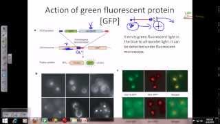 Plant biotechnology 3 [upl. by Cobbie589]