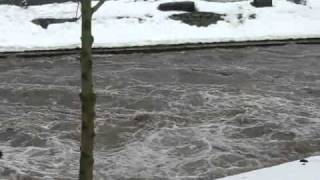 Zschopau führt Hochwasser [upl. by Ihana]