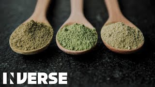 Kratom Effects Explained  Inverse [upl. by Penrose26]