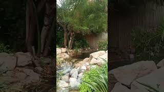 The Farm Al Barari pt 2 Dubai UAE thefarmalbarari [upl. by Atirrehs487]