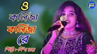 ও কলিজা কলিজা রে  O Kolija Kolija Re শিল্পী দিশা রায়  Sad Song  Disha Roy Baul gun [upl. by Llerdnad]