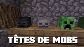 Comment avoir toutes les têtes Minecraft en mode Minijeux [upl. by Aiuqenehs156]