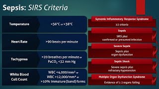 Sepsis Systemic Inflammatory Response Syndrome SIRS Criteria [upl. by Ardena432]