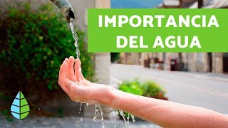 IMPORTANCIA AGUA 💧 ¿Cuál es la IMPORTANCIA del AGUA [upl. by Rani271]