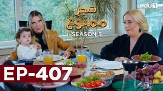 ShajareMamnu  Episode 407  Turkish Drama  Forbidden Fruit  Urdu Dubbing  1 July 2022 [upl. by Gilliam]