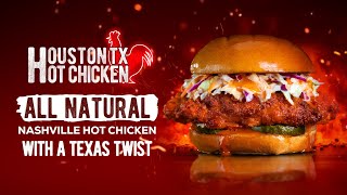 HHC  Houston TX Hot Chicken [upl. by Cassandra]