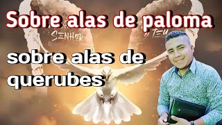 sobre alas de paloma 🕊️ Ruben Aguilar oficial [upl. by Assil]