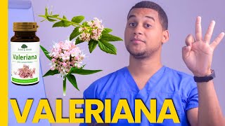 VALERIANA PARA QUE SIRVE  3 COSAS [upl. by Carpio955]