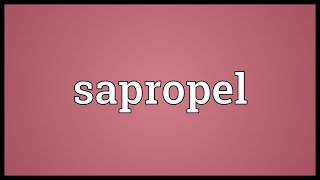 Sapropel Meaning [upl. by Mulry271]