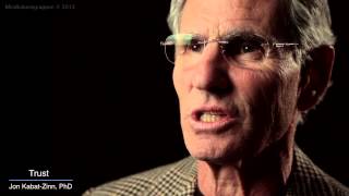 Jon KabatZinn Mindfulness 9 attitudes  trust [upl. by Kennet484]