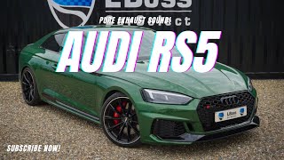 2018 AUDI RS5 PURE EXHAUST SOUND [upl. by Boeke]