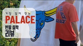 팔라스 반팔 사이즈 리뷰  무조건 크게 작게 사면 망함 [upl. by Orodisi]