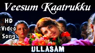 Veesum Kaatrukku [upl. by Ecirtnahc]