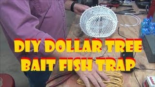 DIY Bait Fish Trap [upl. by Beghtol]