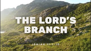 Isaiah 11110  Mandurah Baptist Church [upl. by Adnahs427]