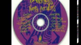 Doughboys  Happy Accidents 1991 Full Album [upl. by Jarib]