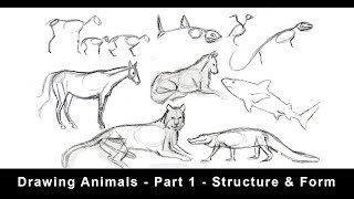 Drawing Animals for Beginners  Part 1  Structure amp Form [upl. by Edsel]