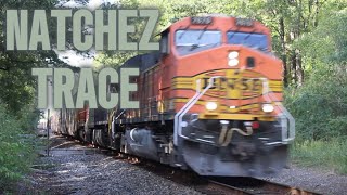 Local On The Natchez Trace Pkwy Trains in Tupelo MS 1052024 [upl. by Desiree]