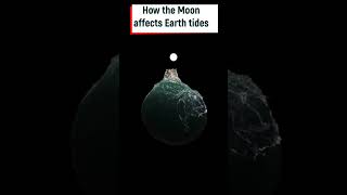 How moon affects ocean tides [upl. by Cowey]