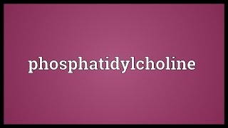 Phosphatidylcholine Meaning [upl. by Hayyifas87]