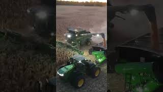 Turning the lights on some X9 corn harvest johndeere X9 agriculture cornharvest corn [upl. by Siclari]