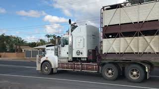 Kenworth T909 Road Train Jake Brake [upl. by Siraval]