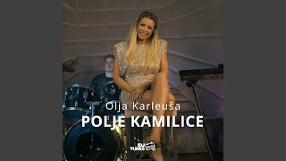 Polje Kamilice Cover [upl. by Eeruhs]