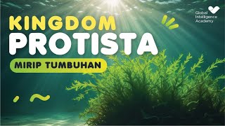 BIOLOGI IPA Kelas 10  Kingdom Protista Protista Mirip Tumbuhan  GIA Academy [upl. by Irmine]