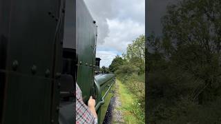 Steam Train Footplate Ride 🚂💨 GWR Pannier Tank on the Gwili Railway 🏴󠁧󠁢󠁷󠁬󠁳󠁿 steamrailway [upl. by Goddart]